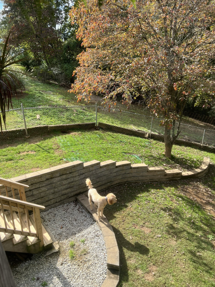 Backyard Grass Reinforcement on Sloped Hillside