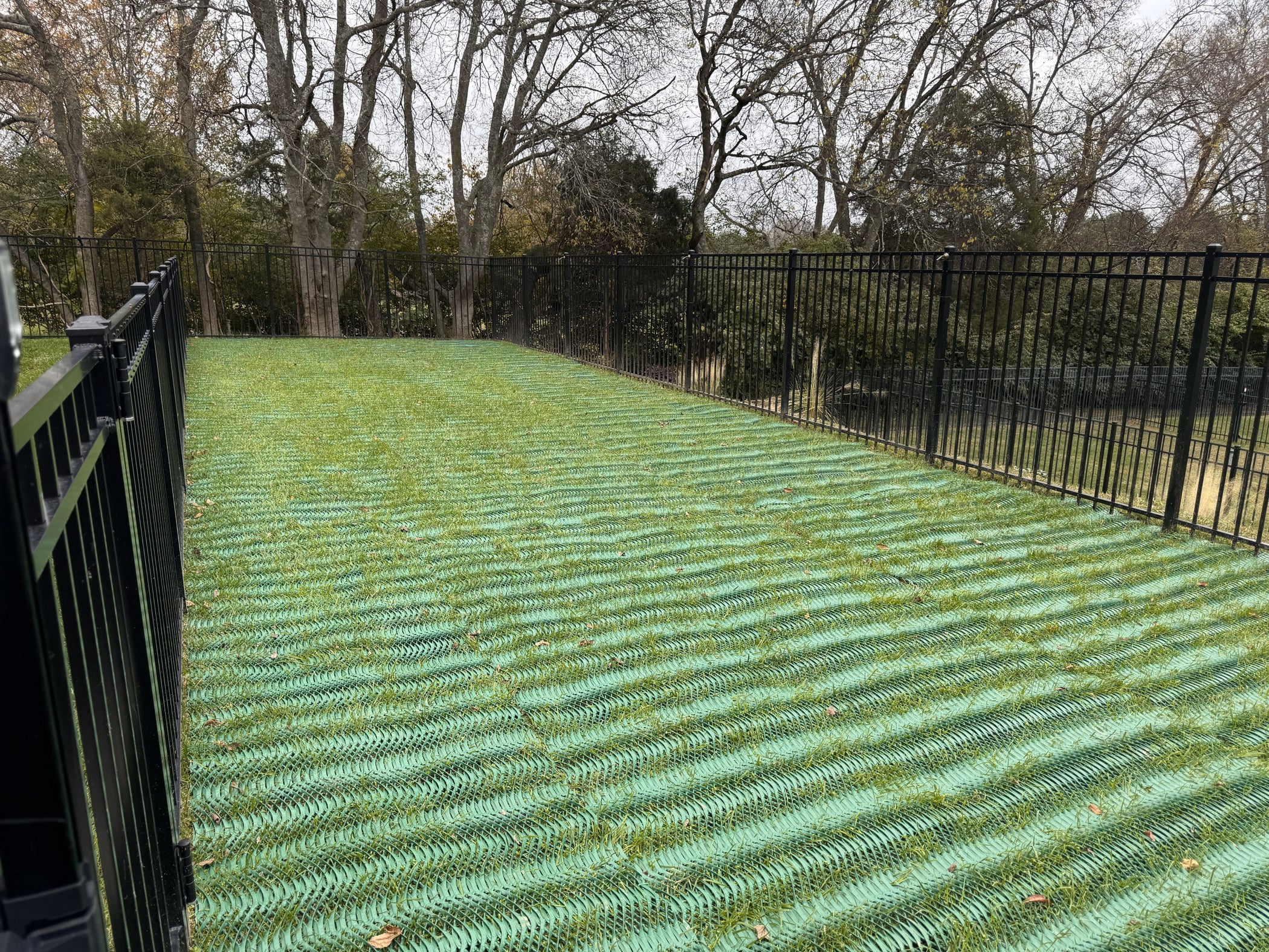 Reducing Ruts and Erosion in Backyard Areas - With Dogs! – RutGuard