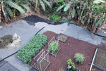 Sloped Garden Stabilization in Hawaii