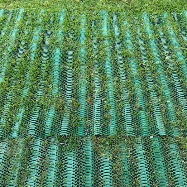 RutGuard Grass Protection Mesh - Standard Roll $1.73/sf - Reinforcement for Grass Parking, Driveways - 3'x50' Roll (150sf)