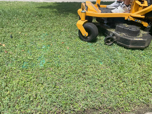 Able to Mow Over Grass Protection Mesh