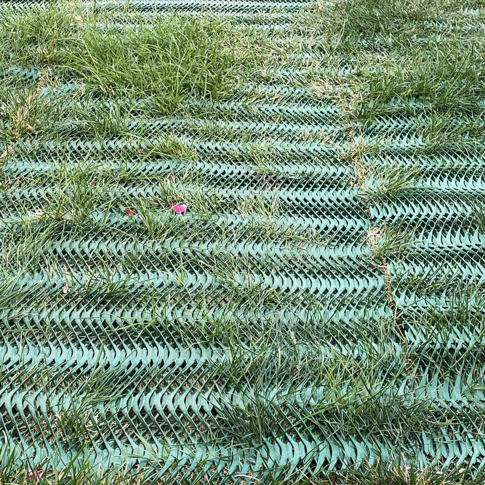 RutGuard Grass Protection Mesh - Short Roll $2/sf - Reinforcement for Grass Parking, Driveways - 3'x25' Roll (75sf)