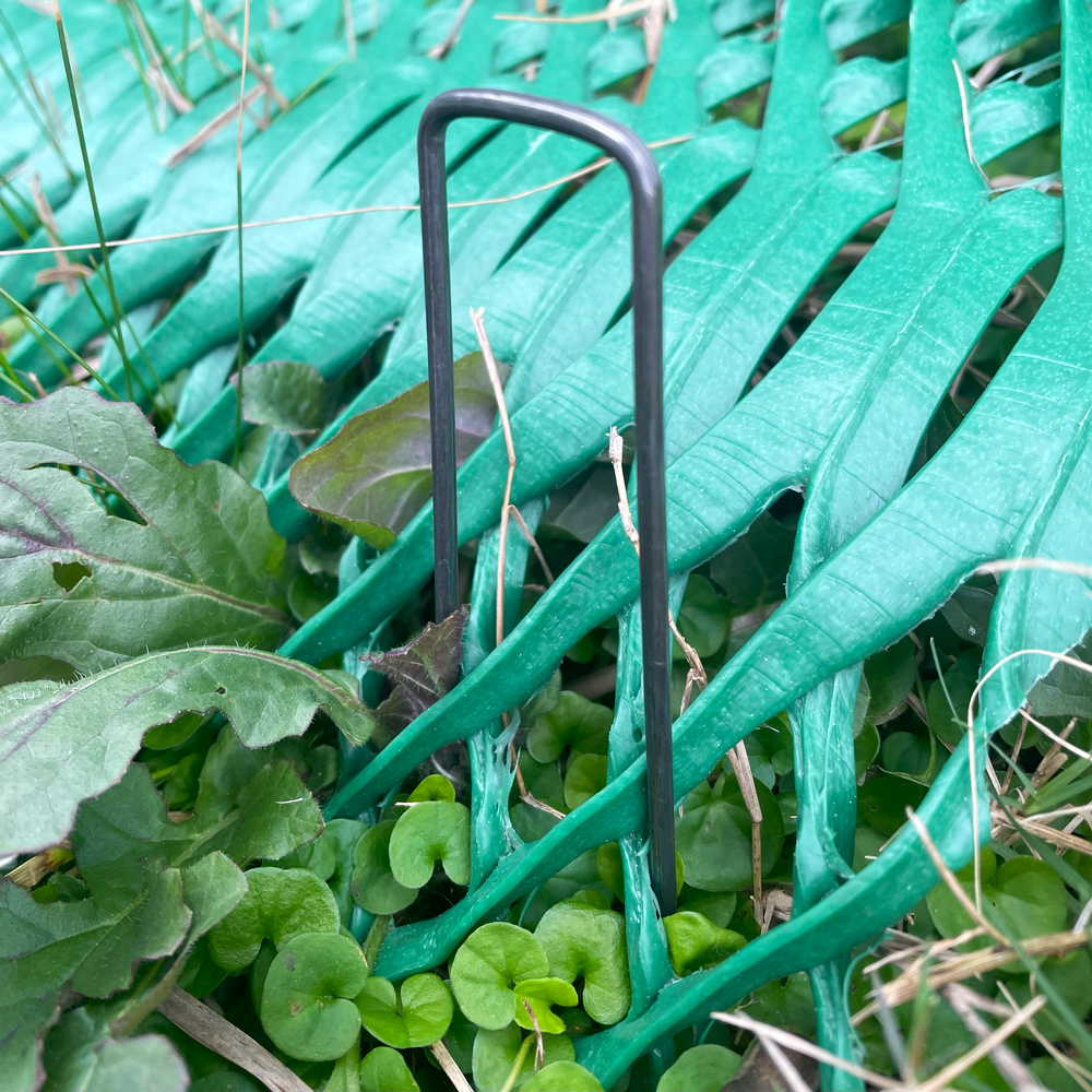 Guard Staple 50 Pack of 6-Inch U-Shaped Landscape Sod Staples - Grass Protection Me ...