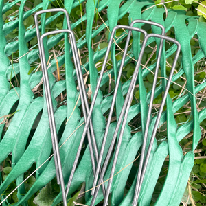 50 Pack of 6-Inch U-Shaped Landscape Sod Staples - Grass Protection Mesh Anchor Pins